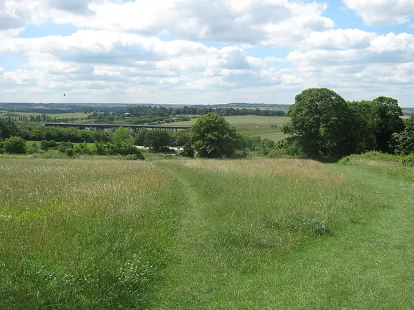 Mown paths through the grass of Candle Field in Darenth Country Park