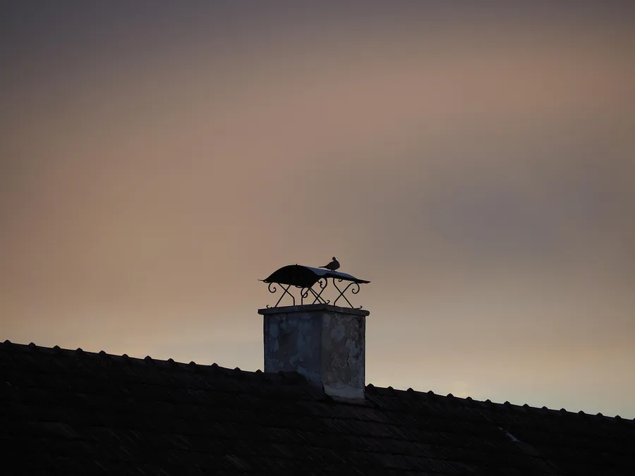 Chimney stack with a decorative metal rain cap and a bird perched on it, silhouetted against a dusk sky