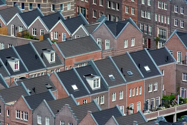 Rows of terraced house roofs with rooflights and small dormers, showing the rooflight limits under permitted development