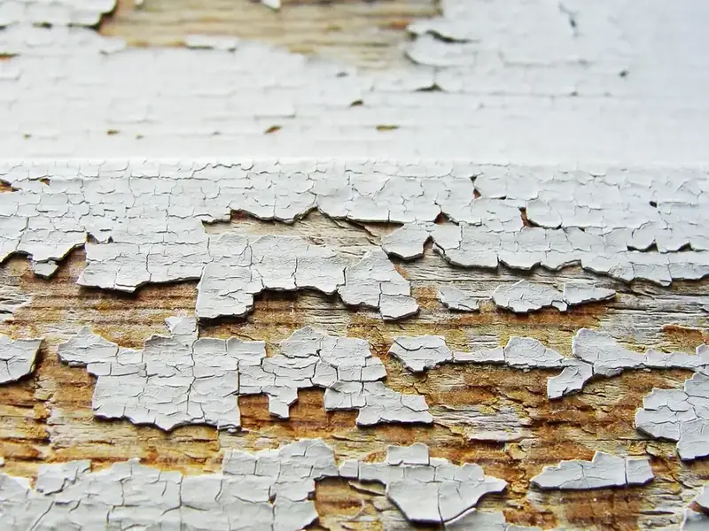 Close-up of white paint cracking and flaking off weathered timber, with bare wood showing through