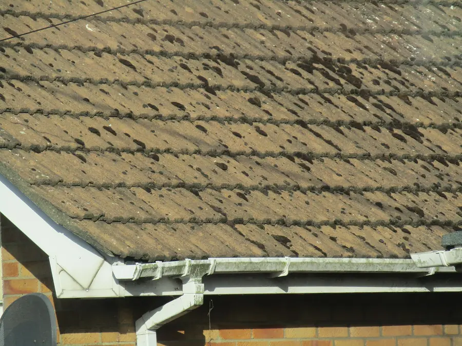 White uPVC gutter and downpipe along the eaves of a moss-spotted concrete tile roof on a brick house
